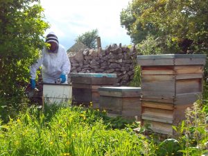 Bee hives with bee keeper.